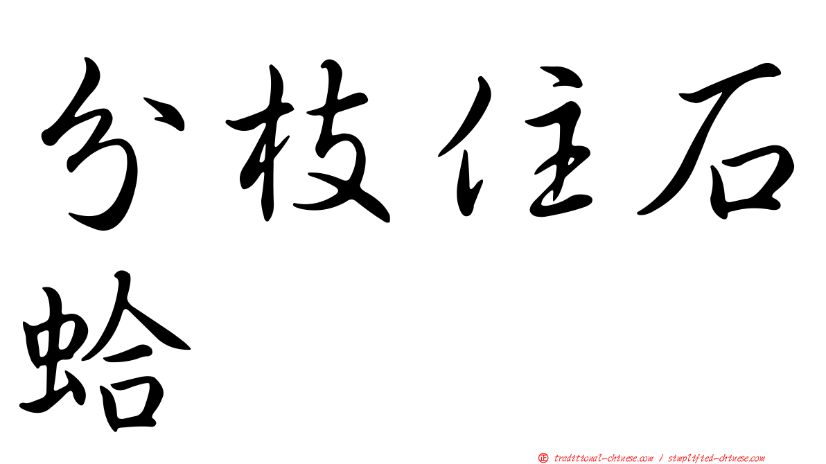 分枝住石蛤