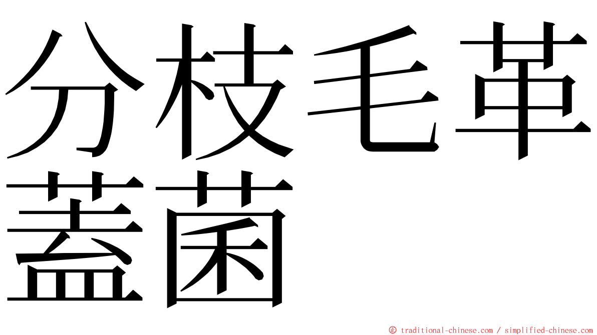 分枝毛革蓋菌 ming font