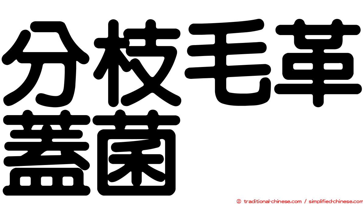 分枝毛革蓋菌