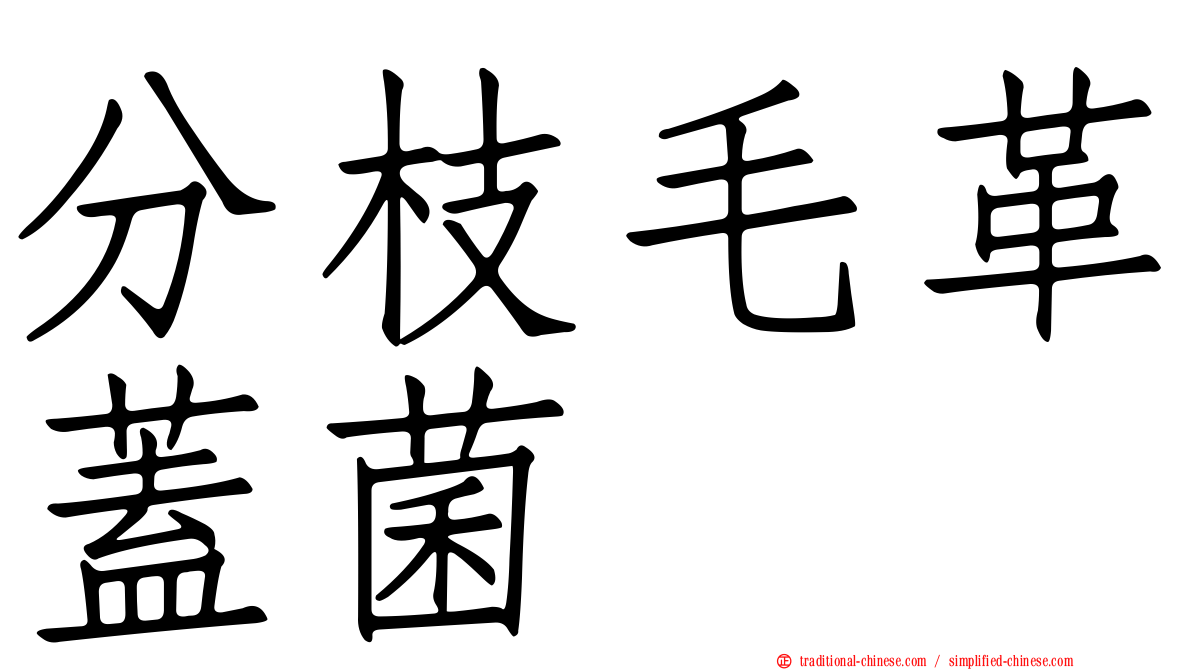 分枝毛革蓋菌