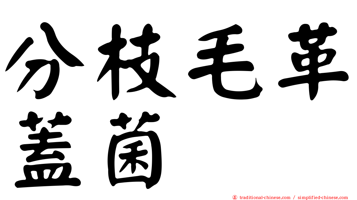 分枝毛革蓋菌
