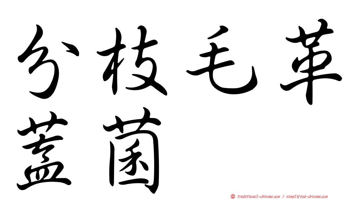 分枝毛革蓋菌