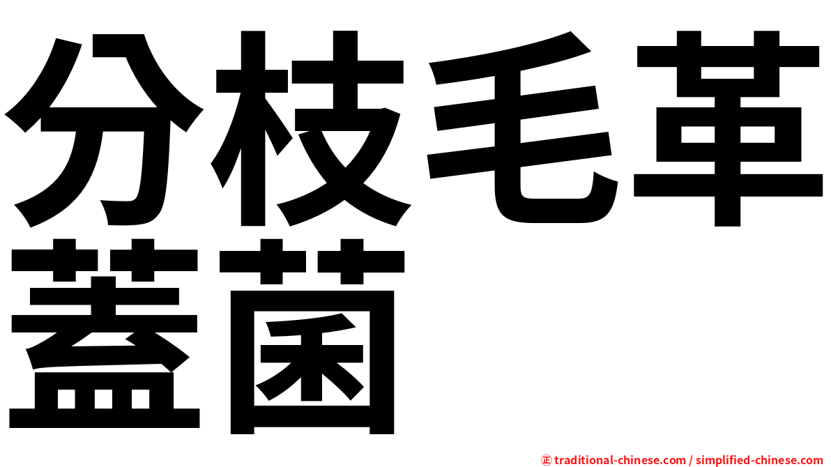 分枝毛革蓋菌