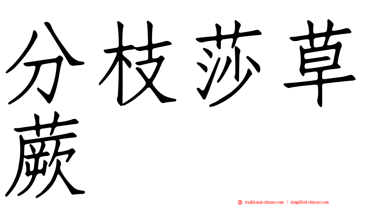 分枝莎草蕨