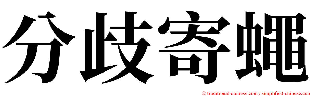 分歧寄蠅 serif font