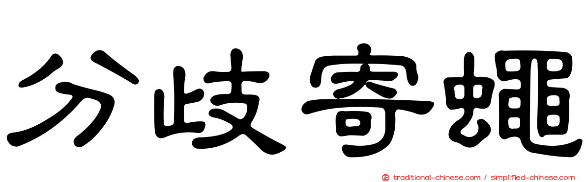 分歧寄蠅