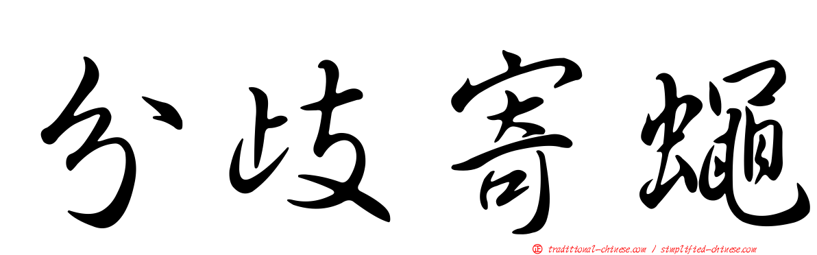 分歧寄蠅