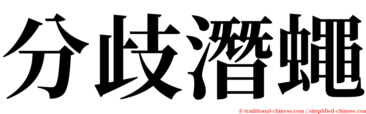 分歧潛蠅 serif font