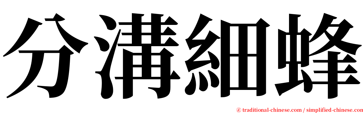分溝細蜂 serif font