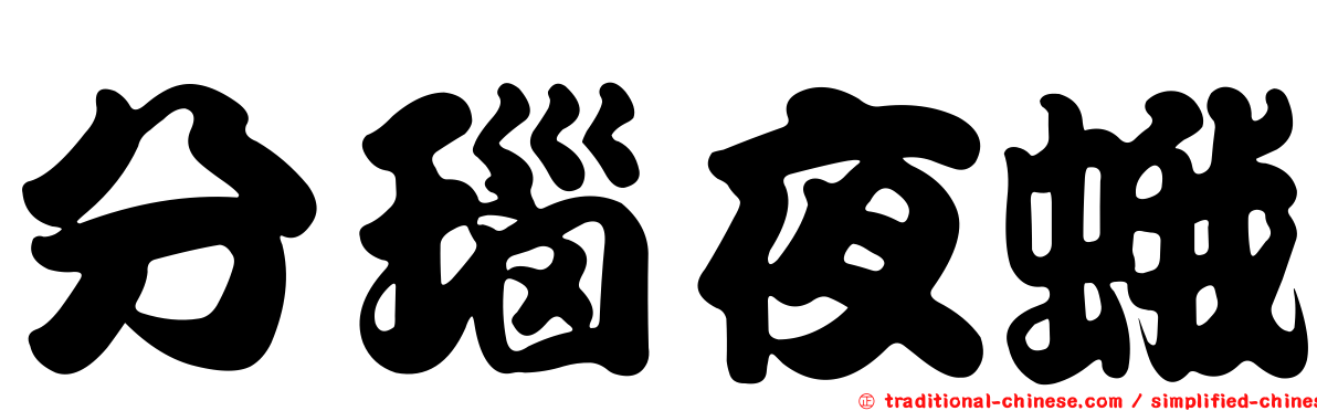 分瑙夜蛾