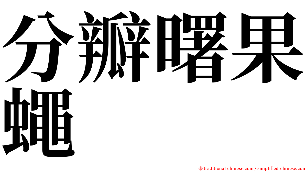 分瓣曙果蠅 serif font