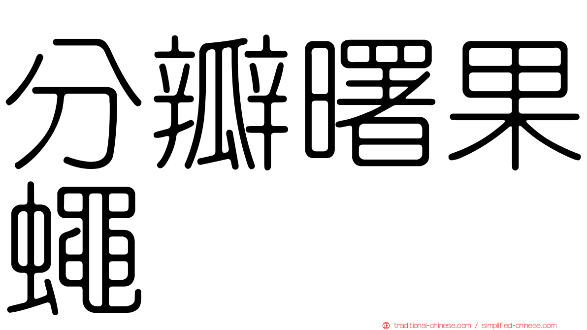 分瓣曙果蠅