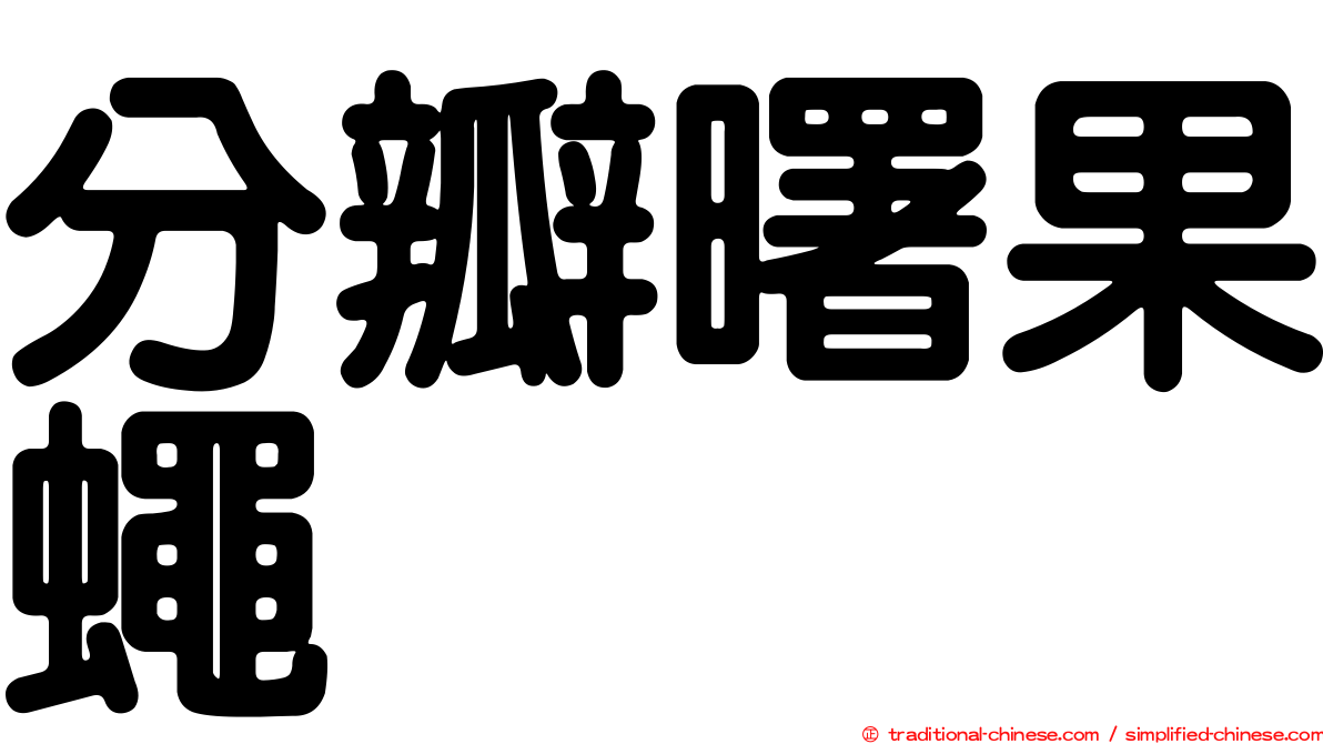 分瓣曙果蠅