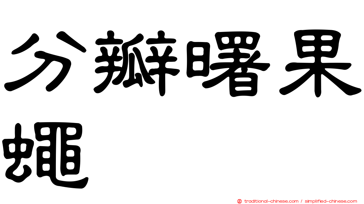 分瓣曙果蠅