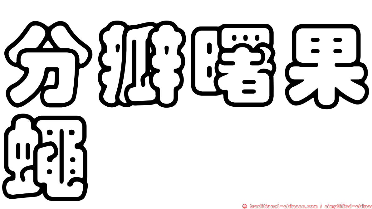 分瓣曙果蠅
