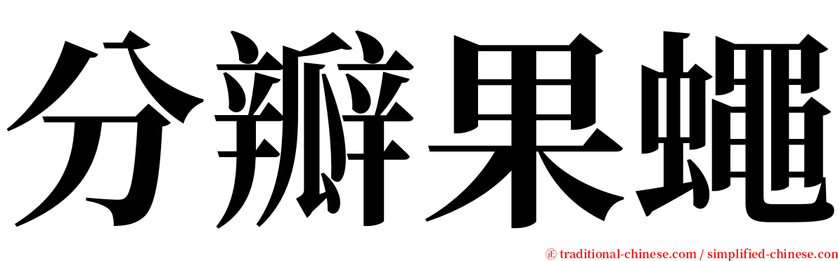 分瓣果蠅 serif font