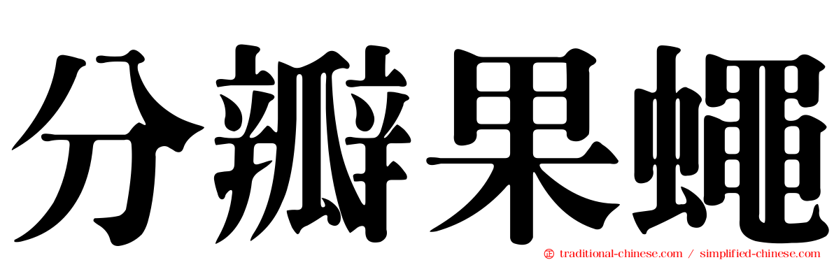 分瓣果蠅