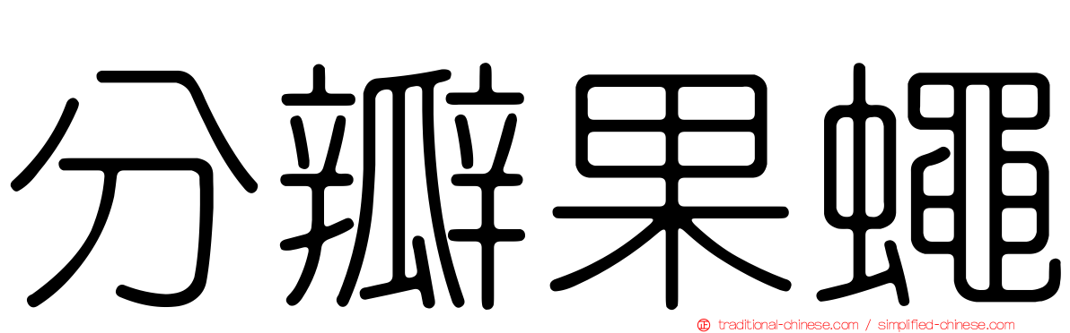 分瓣果蠅
