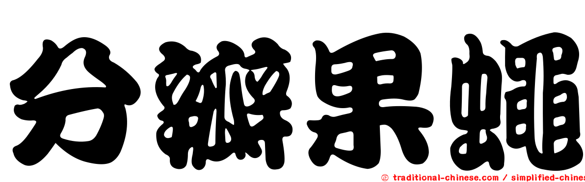 分瓣果蠅