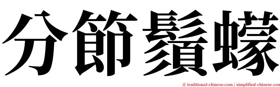 分節鬚蠓 serif font