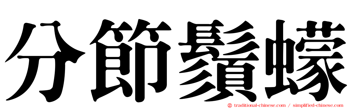 分節鬚蠓