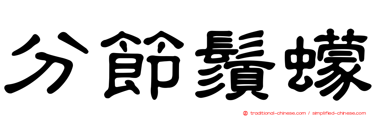 分節鬚蠓