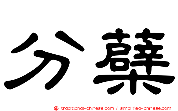 分蘗