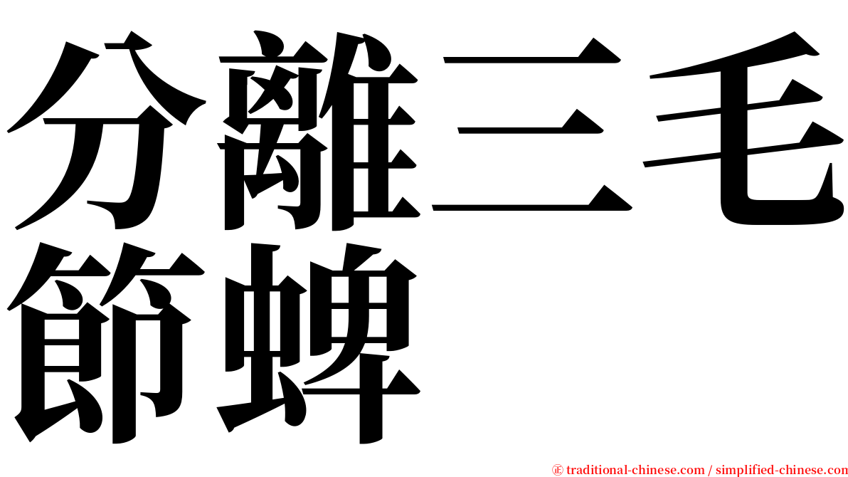 分離三毛節蜱 serif font