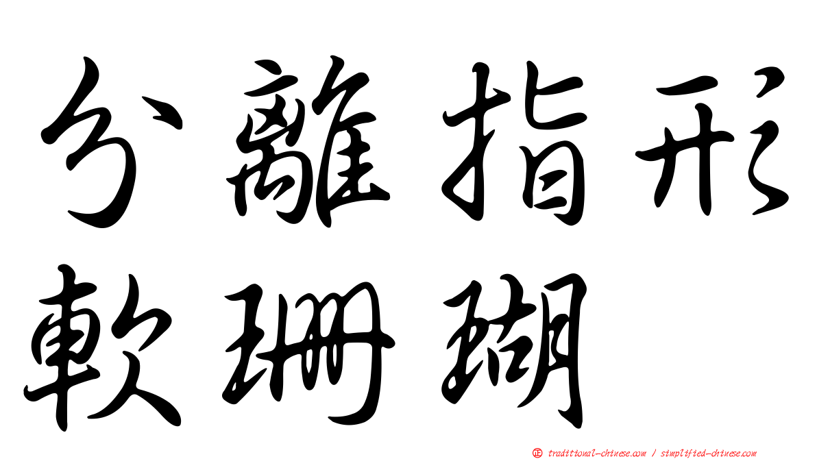 分離指形軟珊瑚