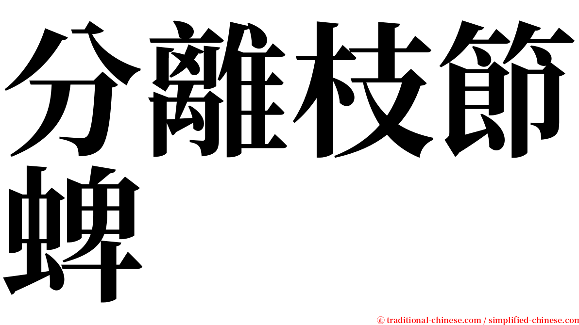 分離枝節蜱 serif font
