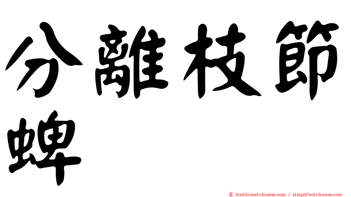 分離枝節蜱