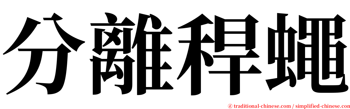 分離稈蠅 serif font