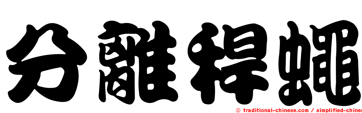 分離稈蠅