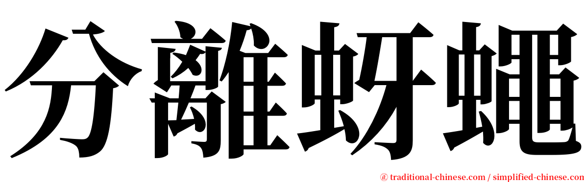 分離蚜蠅 serif font