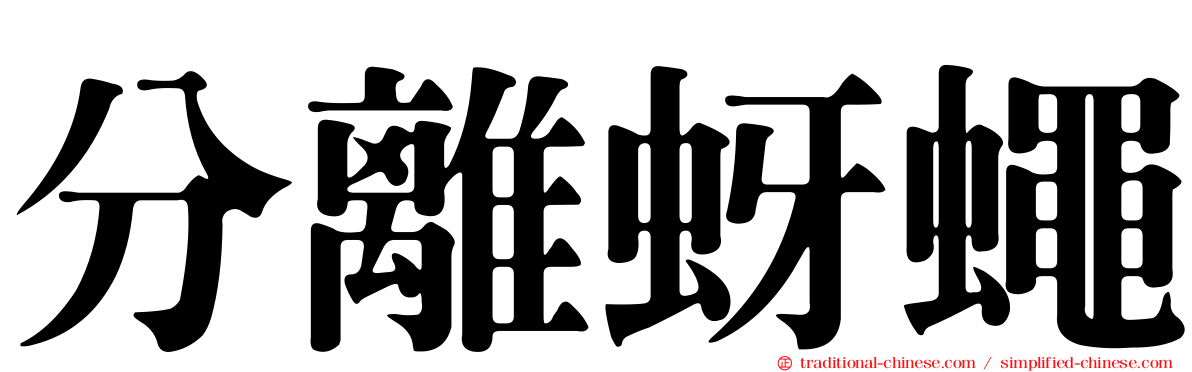 分離蚜蠅