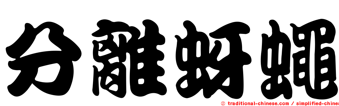 分離蚜蠅