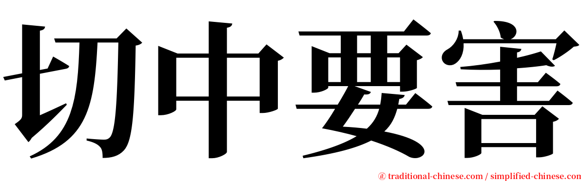 切中要害 serif font