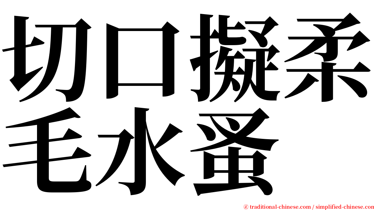 切口擬柔毛水蚤 serif font
