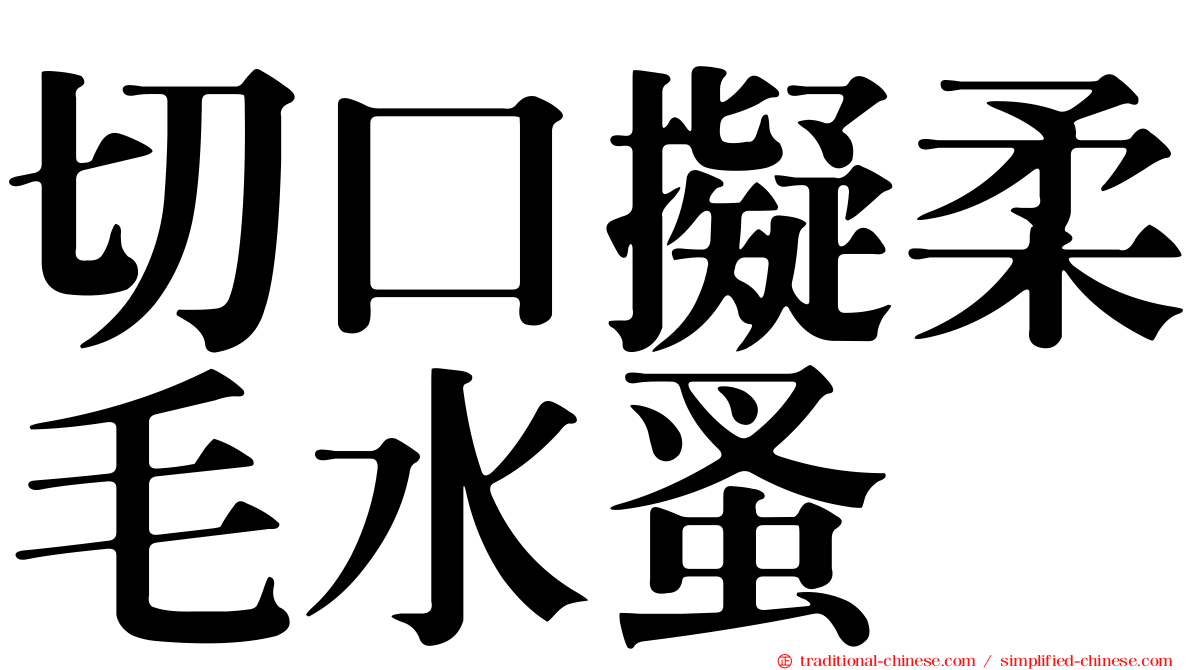 切口擬柔毛水蚤