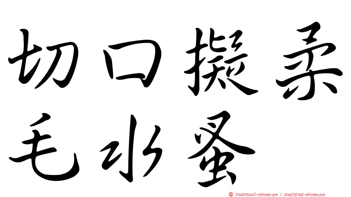 切口擬柔毛水蚤