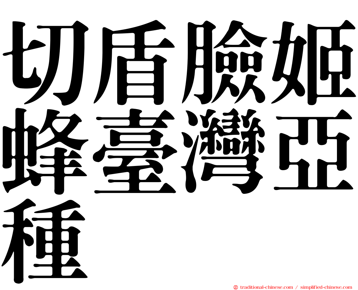 切盾臉姬蜂臺灣亞種