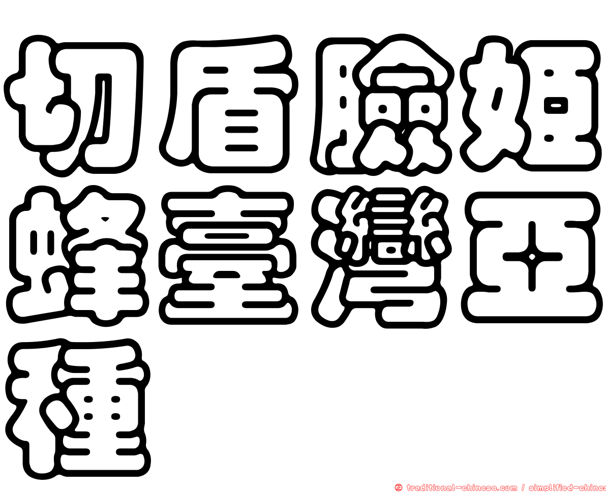 切盾臉姬蜂臺灣亞種