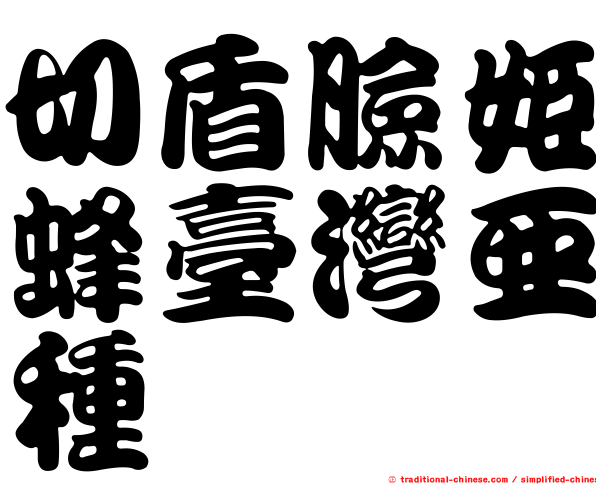 切盾臉姬蜂臺灣亞種