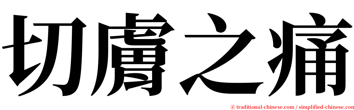 切膚之痛 serif font