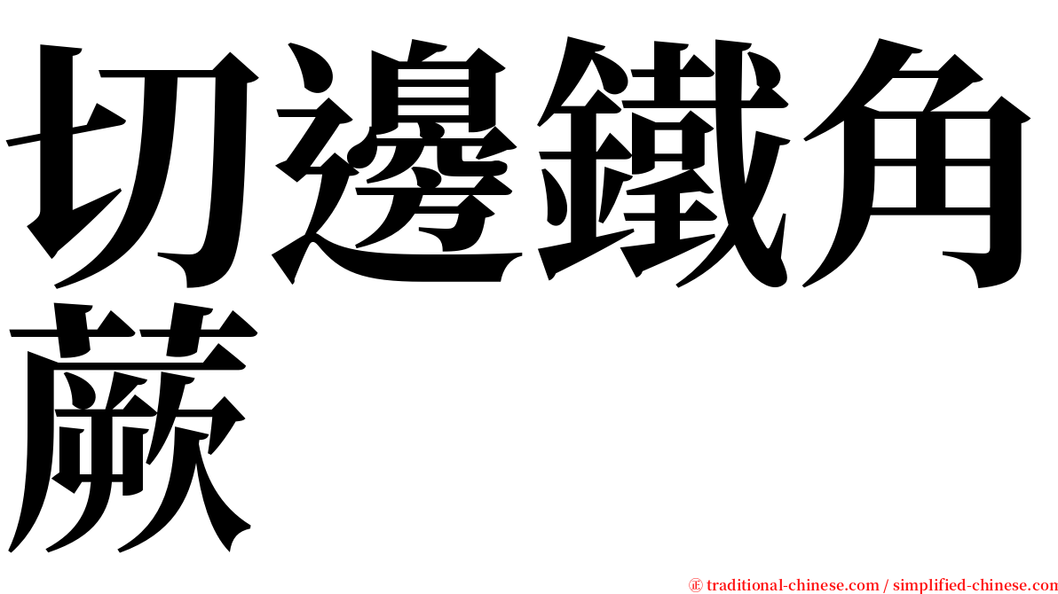 切邊鐵角蕨 serif font