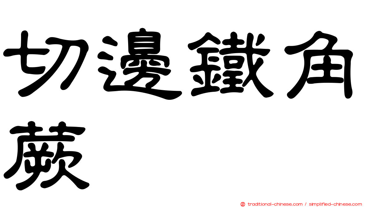 切邊鐵角蕨