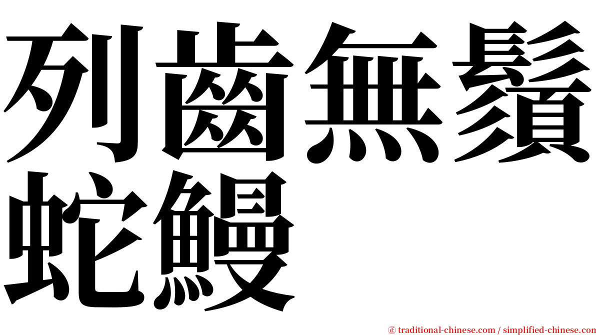 列齒無鬚蛇鰻 serif font