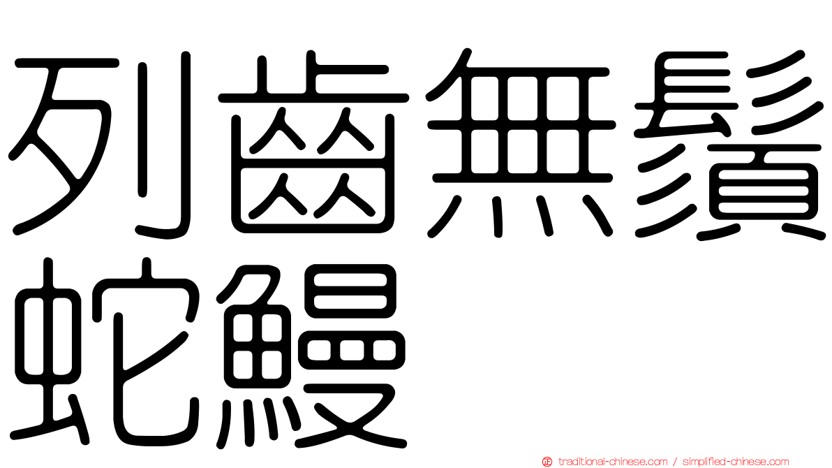 列齒無鬚蛇鰻