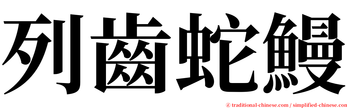 列齒蛇鰻 serif font