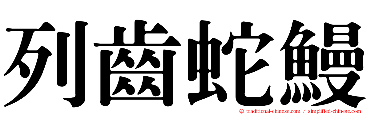 列齒蛇鰻